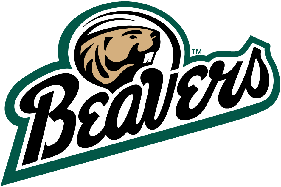 Bemidji State Beavers 2004-Pres Alternate Logo 01 vinyl decal